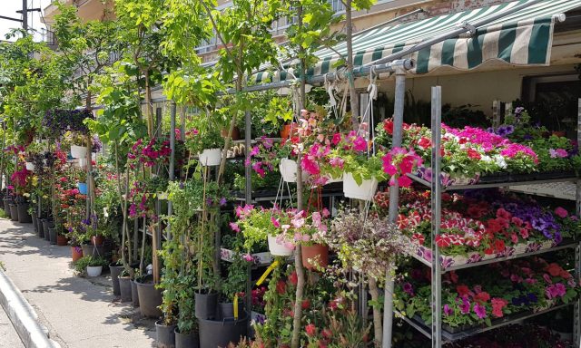 ΓΕΩΠΟΝΙΚΗ ΙΩΑΝΝΗΣ ΜΠΑΡΜΠΑΡΑΚΗΣ ΜΟΝ ΙΚΕ