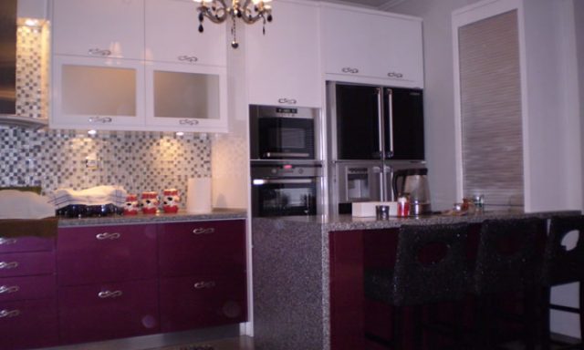 ΒΙΟΤΕΧΝΙΑ ΕΠΙΠΛΩΝ ΧΑΤΖΗΓΙΑΝΝΗΣ ΜΕΝΕΛΑΟΣ