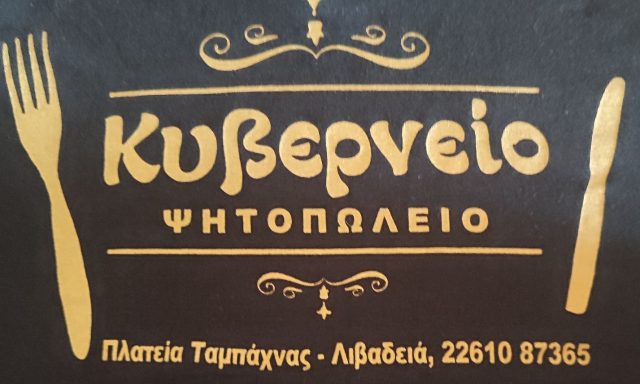 ΚΥΒΕΡΝΕΙΟ – ΖΩΓΡΑΦΟΣ ΔΗΜΗΤΡΗΣ