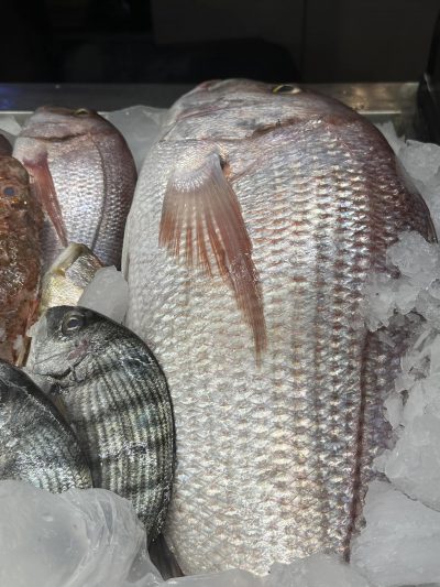 TO ΣΤΕΚΙ ΤΟΥ ΨΑΡΑ