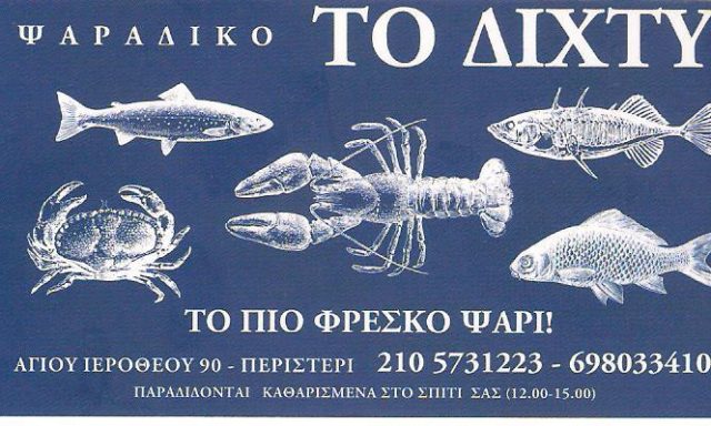 ΤΟ ΔΙΧΤΥ – SHAMETAJ VAJEL R.