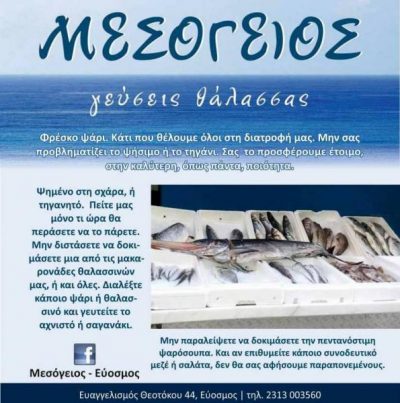 ΜΕΣΟΓΕΙΟΣ – BAΣΙΛΕΙΑΔΟΥ ΑΙΚΑΤΕΡΙΝΗ