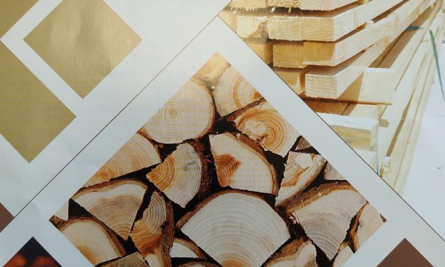 ΙΣΑΑΚΙΔΗΣ ΑΒΕΕ