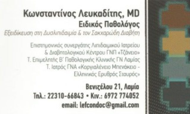 ΛΕΥΚΑΔΙΤΗΣ ΚΩΝΣΤΑΝΤΙΝΟΣ Γ.