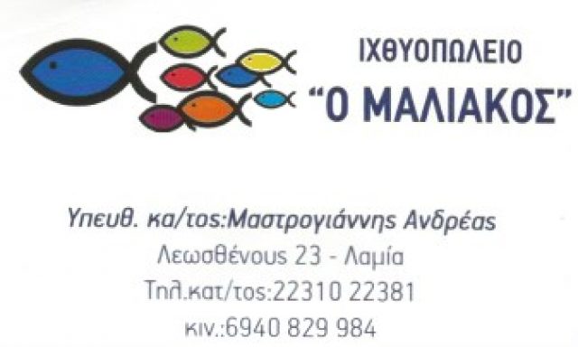 Ο ΜΑΛΙΑΚΟΣ (Ρουκουνιώτη Κωνσταντία)