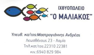 Ο ΜΑΛΙΑΚΟΣ (Ρουκουνιώτη Κωνσταντία)