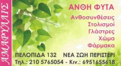 ΑΜΑΡΥΛΛΙΣ – ΑΔΑΜΟΠΟΥΛΟΥ ΠΟΛΥΞΕΝΗ