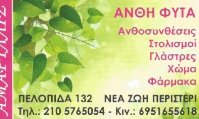 ΑΜΑΡΥΛΛΙΣ – ΑΔΑΜΟΠΟΥΛΟΥ ΠΟΛΥΞΕΝΗ