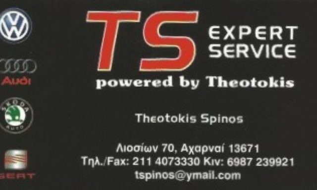 TS EXPERT SERVICE – ΣΠΙΝΟΣ ΘΕΟΤΟΚΗΣ