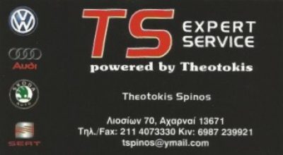 TS EXPERT SERVICE – ΣΠΙΝΟΣ ΘΕΟΤΟΚΗΣ