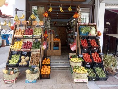 ΤΟ ΧΩΡΙΟ (Λίλιος Νικόλαος)