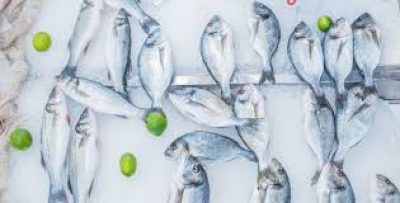 ΑΙΓΑΙΟ – ΠΑΠΑΔΟΠΟΥΛΟΥ ΑΘΑΝΑΣΙΑ