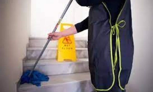 CLEANING SERVICE PLAKIAS – PETROS GERDUQI