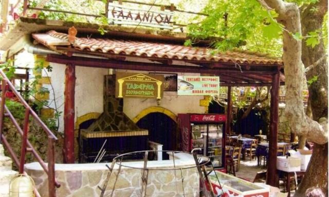 ΕΛΛΑΝΙΟΝ ΦΩΣ-ΚΟΥΝΔΟΥΡΑΚΗ ΜΑΡΙΑ