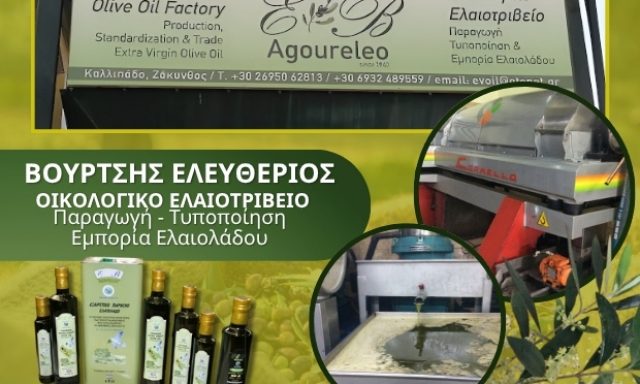 ΒΟΥΡΤΣΗΣ ΕΛΕΥΘΕΡΙΟΣ
