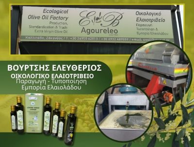 ΒΟΥΡΤΣΗΣ ΕΛΕΥΘΕΡΙΟΣ