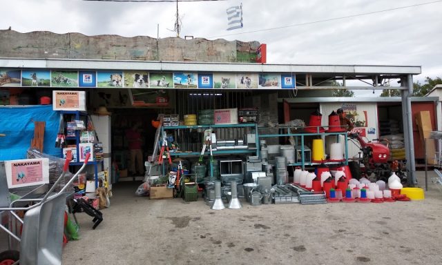 ΜΙΝΤΖΑΣ ΑΘΑΝΑΣΙΟΣ