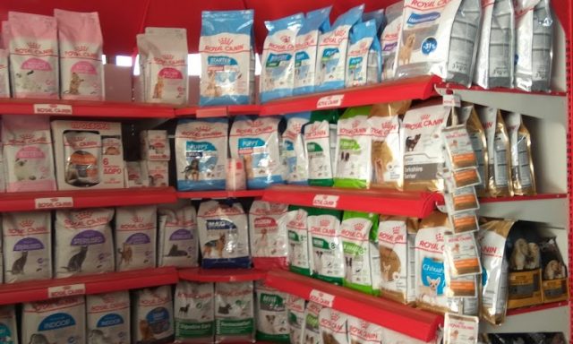 ΤΟ ΕΝΥΔΡΕΙΟ – ΜΑΝΙΑΤΑΚΗΣ ΙΩΑΝΝΗΣ