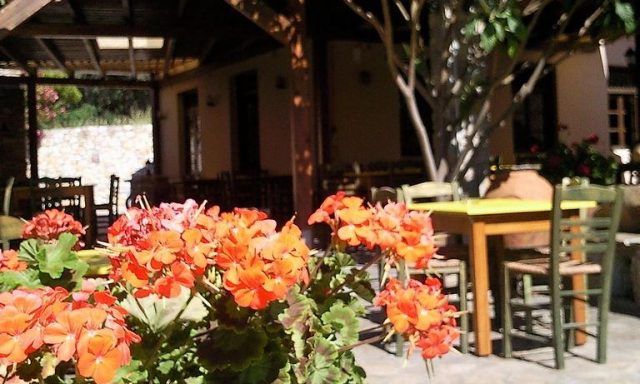 ΠΗΓΗ (Τριαντάφυλλος Ιωάννης Ε.)