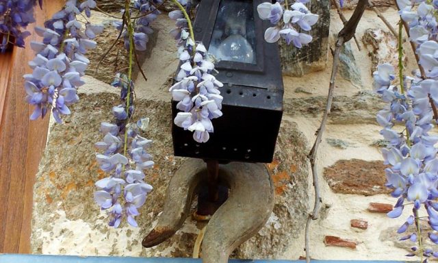 ARCHONTIKO SOULIOTI – ΣΟΥΛΙΩΤΗΣ ΘΕΟΔΩΡΟΣ