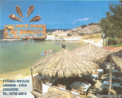 ΤΟ ΑΚΡΟΓΙΑΛΙ