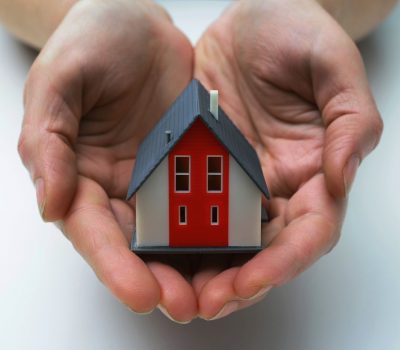 DOMESTIC – ΚΑΡΛΗΣ ΠΑΝΑΓΙΩΤΗΣ &amp; ΝΙΚΟΛΑΟΣ