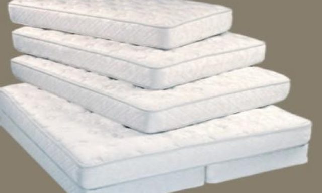 ΒΙΟΤΕΧΝΙΑ ΟΡΘΟΠΕΔΙΚΩΝ ΣΤΡΩΜΑΤΩΝ – ΡΩΤΟΠΟΥΛΟΣ ΙΩΑΝΝΗΣ