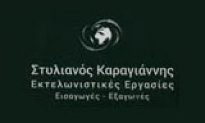 ΚΑΡΑΓΙΑΝΝΗΣ ΣΤΥΛΙΑΝΟΣ Θ.