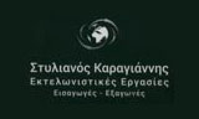ΚΑΡΑΓΙΑΝΝΗΣ ΣΤΥΛΙΑΝΟΣ Θ.