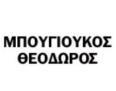 ΜΠΟΥΓΙΟΥΚΟΣ ΘΕΟΔΩΡΟΣ