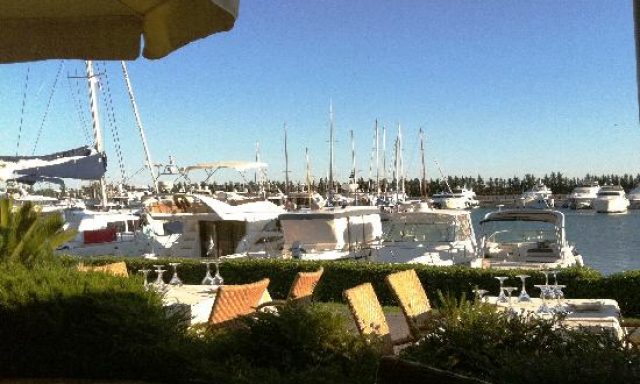 ΔΕΛΦΙΝΙΑ – ΤΕ ΒΙ ΤΟΥΡ ΑΕ