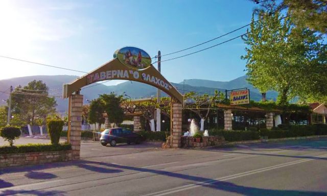 Ο ΒΛΑΧΟΣ – ΠΑΝΤΕΛΗΣ ΜΠΑΛΑΦΑΣ