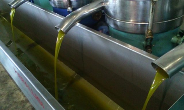 ΨΗΛΟΓΙΑΝΝΗΣ Ι ΚΑΙ Α ΟΕ