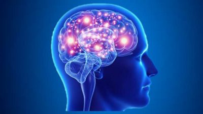 ΡΗΓΟΠΟΥΛΟΥ ΣΤΑΜΑΤΙΑ