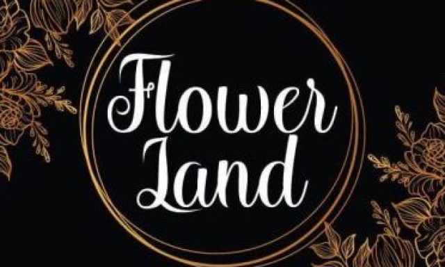 FLOWERLAND – AGAMIROV LEVAN