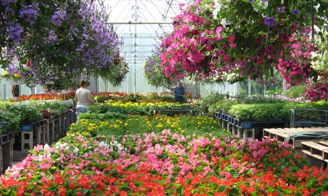 ΠΑΠΟΥΤΣΙΔΑΚΗΣ ΔΗΜΗΤΡΙΟΣ Ν ΕΕ