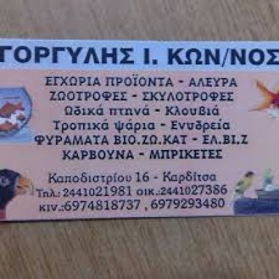 ΓΟΡΓΥΛΗΣ ΚΩΝΣΤΑΝΤΙΝΟΣ