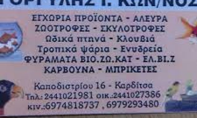 ΓΟΡΓΥΛΗΣ ΚΩΝΣΤΑΝΤΙΝΟΣ