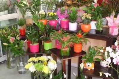 ΕΥΗ – ΜΕΛΙΣΣΟΠΟΥΛΟΥ ΚΑΡΑΝΛΙΚ ΕΥΓΕΝΙΑ