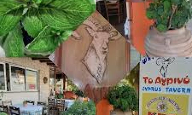 ΤΟ ΑΓΡΙΝΟ – ΖΑΧΑΡΙΑΣ ΙΩΑΚΕΙΜ ΚΑΙ ΣΙΑ ΟΕ