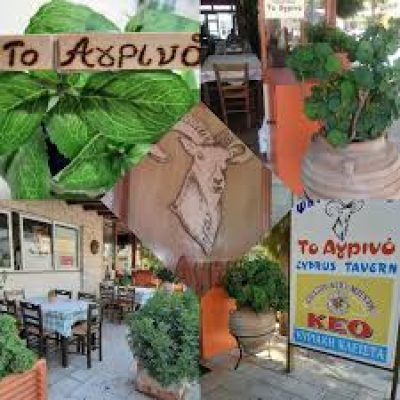 ΤΟ ΑΓΡΙΝΟ – ΖΑΧΑΡΙΑΣ ΙΩΑΚΕΙΜ ΚΑΙ ΣΙΑ ΟΕ