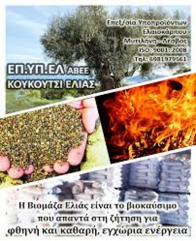 ΕΠ.ΥΠ.ΕΛ. ΑΒΕΕ – ΔΕΣΠΟΤΕΛΛΗΣ ΝΕΟΚΛΗΣ