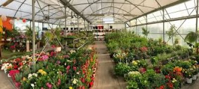 AUTO ΚΗΠΟΣ – ΑΦΡΑΤΗΣ Ν ΛΩΛΗΣ Σ ΟΕ