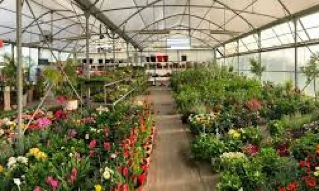 AUTO ΚΗΠΟΣ – ΑΦΡΑΤΗΣ Ν ΛΩΛΗΣ Σ ΟΕ