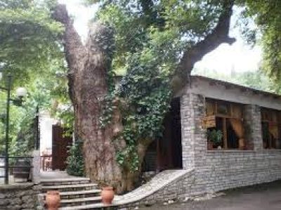 ΤΑ ΠΛΑΤΑΝΙΑ