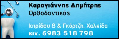 ΚΑΡΑΓΙΑΝΝΗΣ ΔΗΜΗΤΡΙΟΣ Ε.