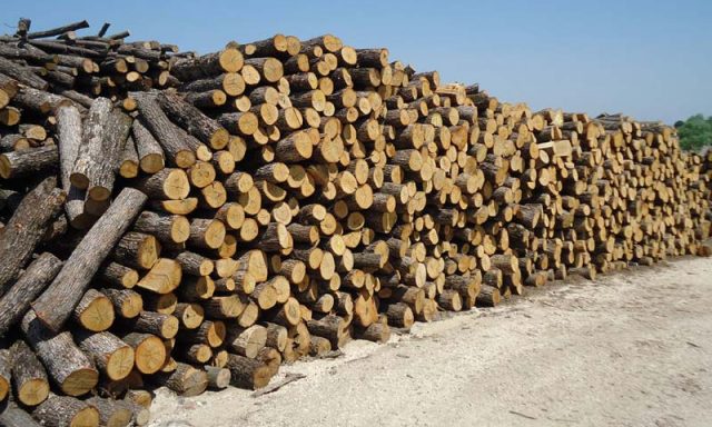 ΚΑΥΣΟΞΥΛΑ ΜΑΝΤΖΟΥΡΗΣ ΒΑΣΙΛΗΣ