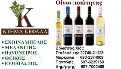ΚΤΗΜΑ ΚΕΦΑΛΑ &#8211; ΚΕΦΑΛΑΣ ΠΑΝΤΕΛΗΣ