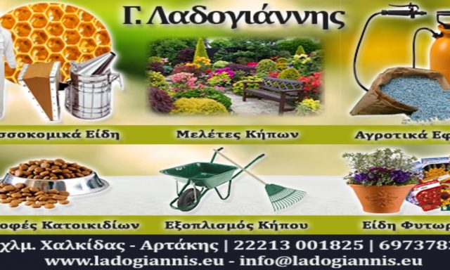 ΛΑΔΟΓΙΑΝΝΗΣ ΓΕΩΡΓΙΟΣ