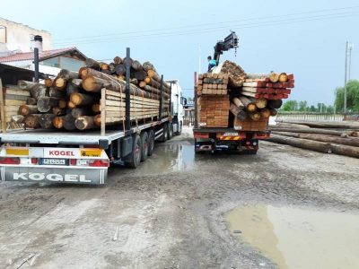 ΑΦΟΙ ΜΗΤΣΙΟΥ ΟΕ